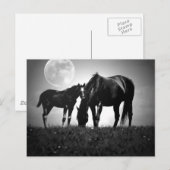 Pferde und Mond Postkarte (Vorne/Hinten)