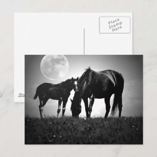 Pferde und Mond Postkarte (Vorne/Hinten)