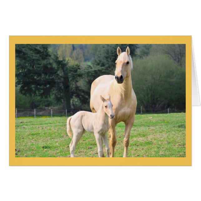 Pferde- und Ponykarte (Vorderseite (Horizontal))