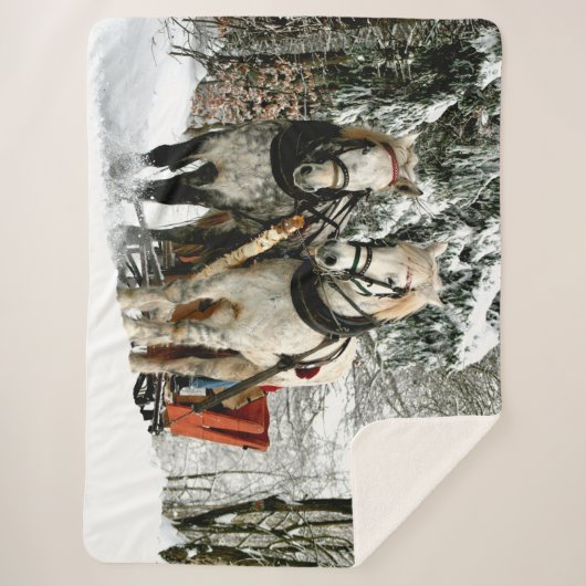 PFERDE UND SCHNEE IM SCHNEE SHERPADECKE (Vorderseite)