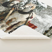 PFERDE UND SCHNEE IM SCHNEE SHERPADECKE (3/4)