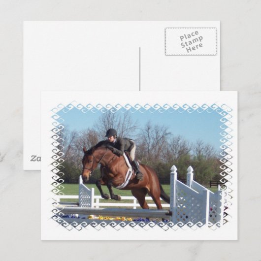 Pferde und Show-springende Postkarte (Vorne/Hinten)