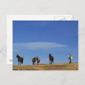 Pferde und Sky Postkarte (Vorne/Hinten)