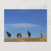 Pferde und Sky Postkarte (Vorderseite)