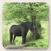 PFERDE UNTERSETZER (Vorderseite)