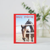 Pferde Valentin IV Postkarte (Stehend Vorderseite)