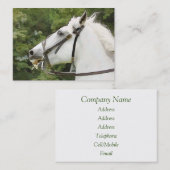 PFERDE VISITENKARTE (Vorne/Hinten)