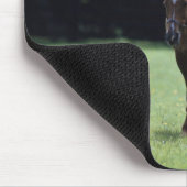 Pferde - Vollblut, Mare und Fohlen, Mousepad (Ecke)