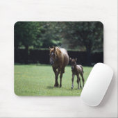 Pferde - Vollblut, Mare und Fohlen, Mousepad (Mit Mouse)