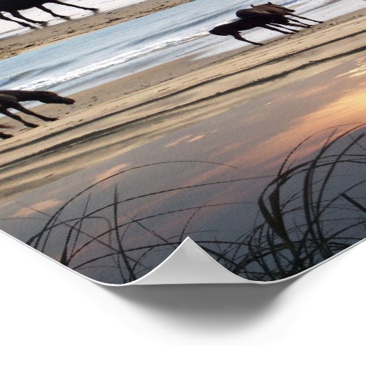 Pferde von Carova Poster (Ecke)