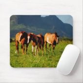 Pferde von Kauai Mousepad (Mit Mouse)