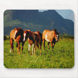 Pferde von Kauai Mousepad