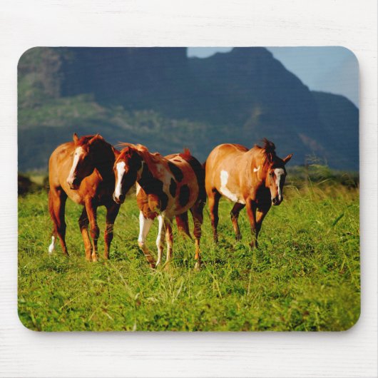 Pferde von Kauai Mousepad (Vorne)