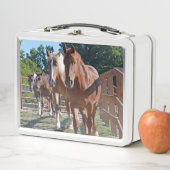 Pferde vorangegangen zurück zu der Scheune Metall Lunch Box (Beispiel)
