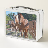 Pferde vorangegangen zurück zu der Scheune Metall Lunch Box (Rückseite)