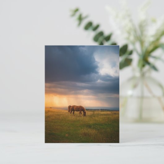 Pferde weiden an stürmischen Tagen Postkarte (Stehend Vorderseite)