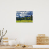 Pferde weiden auf Weide in der Nähe von Weißfisch, Poster (Küche)