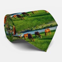 Pferde Weiden in der Nähe des Flusses