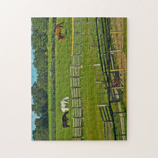 Pferde Weiden Wisconsin. Puzzle (Vertikal)