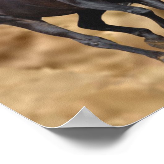 Pferde Wild Print Poster (Ecke)