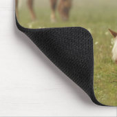 Pferde Wildblume Wiese Morgennebel Piano Mousepad (Ecke)