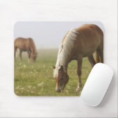 Pferde Wildblume Wiese Morgennebel Piano Mousepad (Mit Mouse)