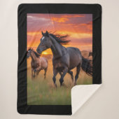 Pferde - Wildpferde Sherpadecke (Vorderseite)