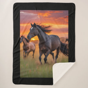 Pferde - Wildpferde Sherpadecke