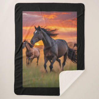 Pferde - Wildpferde Sherpadecke