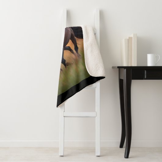 Pferde - Wildpferde Sherpadecke (Beispiel)