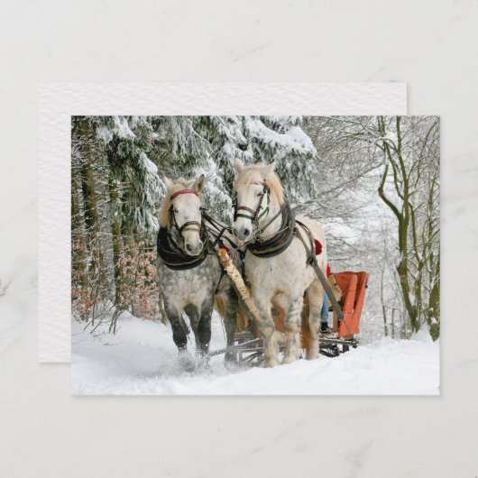 Pferde Wintertransportreppe Postüberquerung Postkarte (Vorne/Hinten)