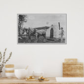 Pferde ziehen ein Gebäude Poster (Küche)