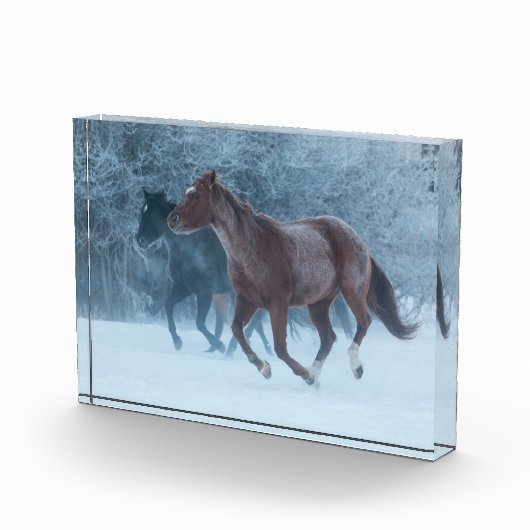 Pferdeantrieb Fotoblock (Rechts)