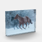 Pferdeantrieb Fotoblock (Links)