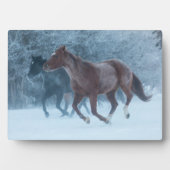 Pferdeantrieb Fotoplatte (Vorderseite)