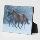 Pferdeantrieb Fotoplatte (Seite)