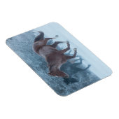 Pferdeantrieb Magnet (Rechte Seite)