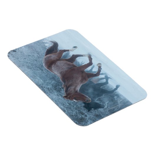 Pferdeantrieb Magnet (Rechte Seite)