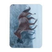 Pferdeantrieb Magnet (Vertikal)