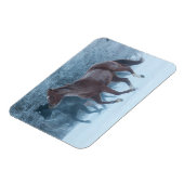 Pferdeantrieb Magnet (Linke Seite)