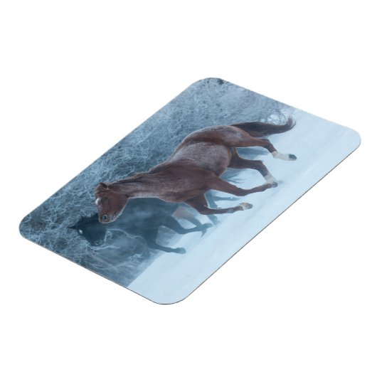 Pferdeantrieb Magnet (Linke Seite)