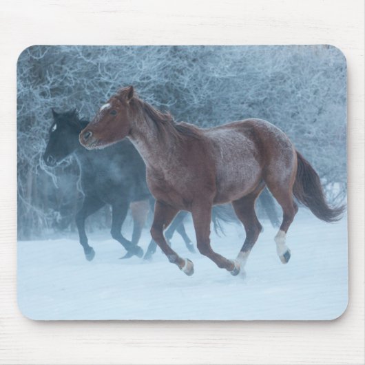 Pferdeantrieb Mousepad (Vorne)