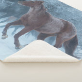 Pferdeantrieb Sherpadecke (3/4)