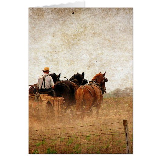 Pferdearbeit (Vorne)