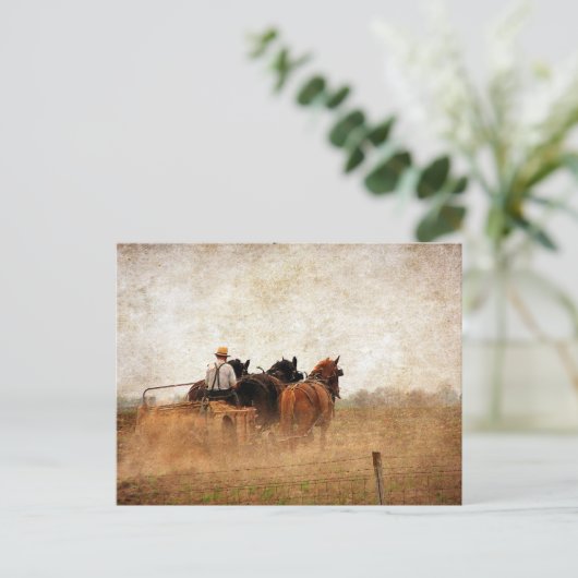 Pferdearbeit Postkarte (Stehend Vorderseite)