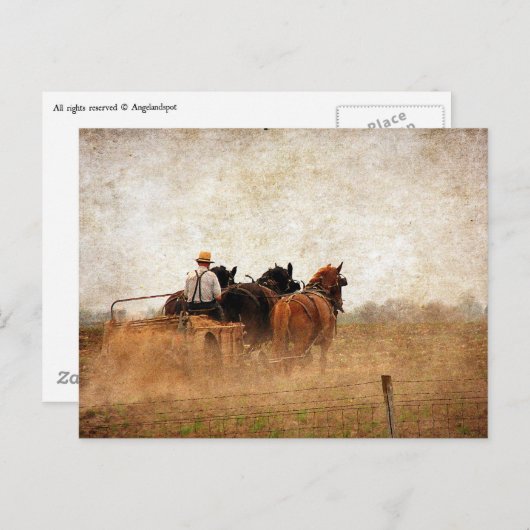 Pferdearbeit Postkarte (Vorne/Hinten)