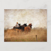 Pferdearbeit Postkarte (Vorderseite)