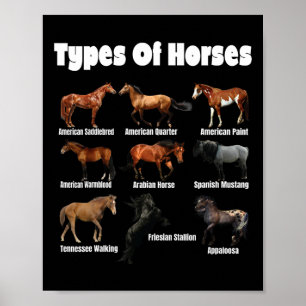 Pferdearten Reitpferde Vintag Poster