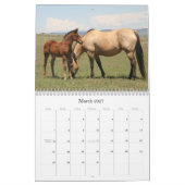 Pferdeartige Bilder 2011 Kalender (Mär 2027)