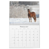 Pferdeartige Bilder 2011 Kalender (Feb 2027)